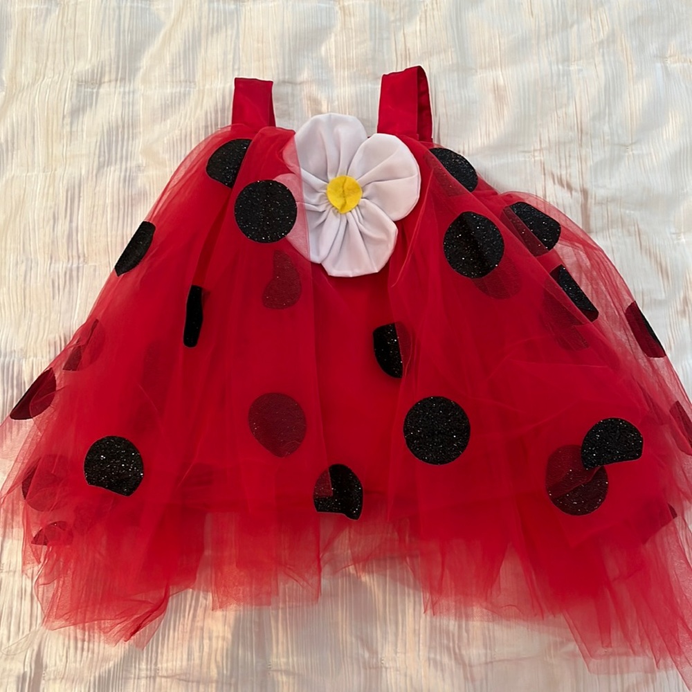 Pottery Barn kids Lady Bug costume